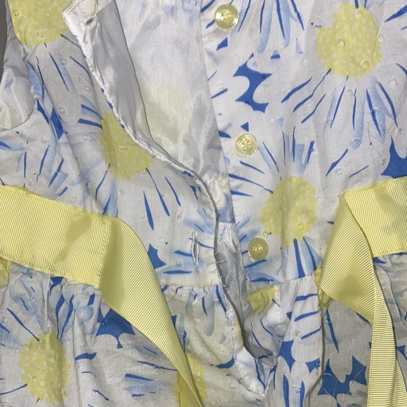 4T Blueberi Blvd daisy dress - Picture 8 of 11